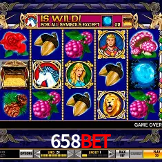658BET Rio de Janeiro - Bonus Terms